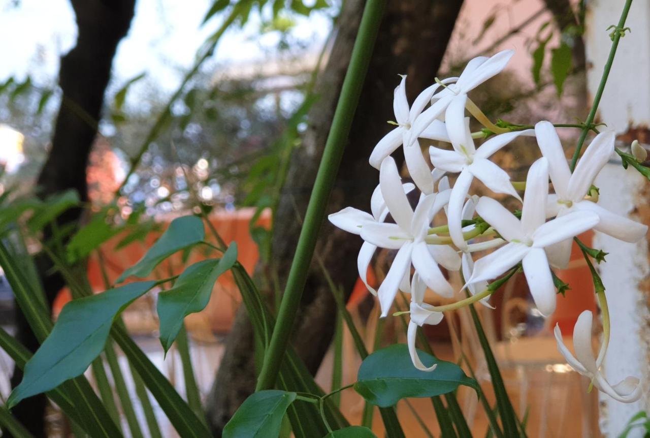 Albergo Bellavista ลีโมเนซุลการ์ดา ภายนอก รูปภาพ