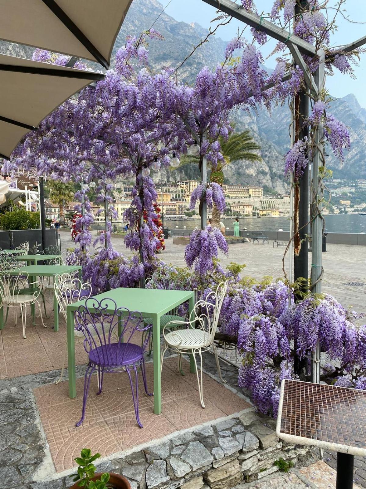 Albergo Bellavista ลีโมเนซุลการ์ดา ภายนอก รูปภาพ