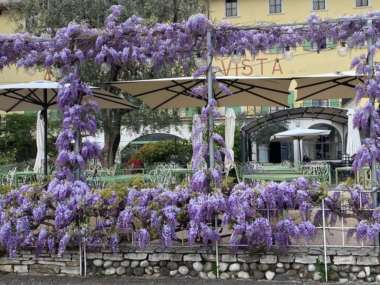 Albergo Bellavista ลีโมเนซุลการ์ดา ภายนอก รูปภาพ